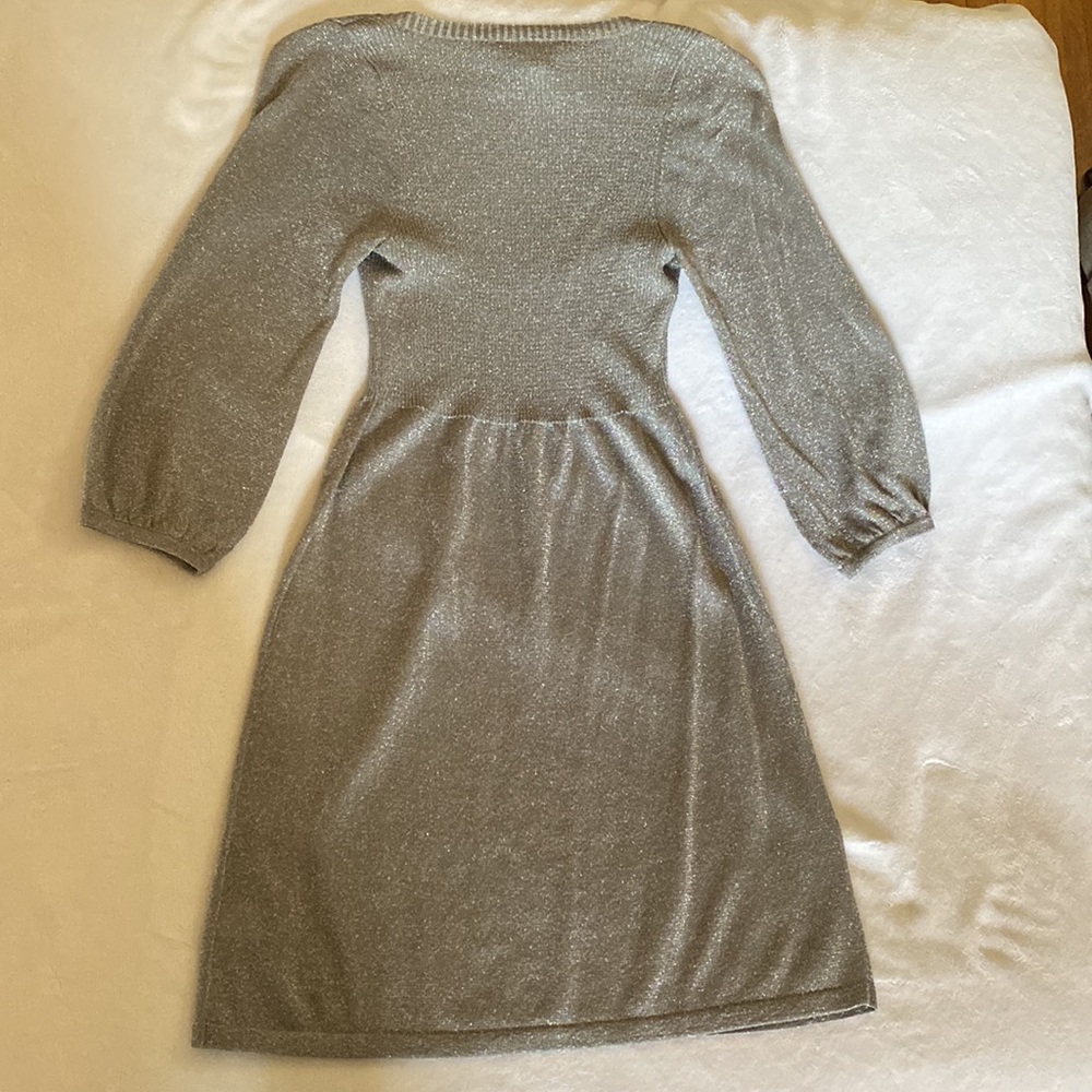 Silver Shimmer Dress - Picture 7 of 7